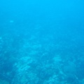 Grenada Submarine4